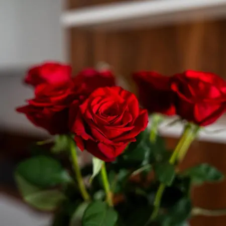 Апартаменти Big - Atal Towers - 3 - Private Parking Place Вроцлав