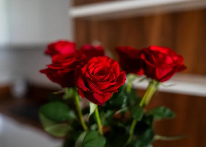 Daire Big - Atal Towers - 3 - Private Parking Place Wroclaw